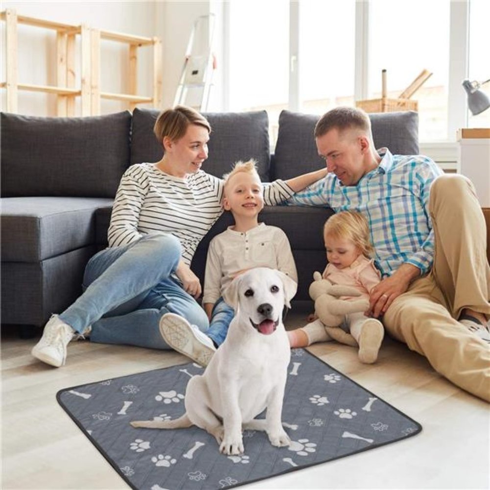 Washable Pee Pads for Dog, Super Absorbent Pet Whelping Pad for Training, 2 Pack
